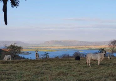 Vende-se, Fazenda no Centro em Conquista