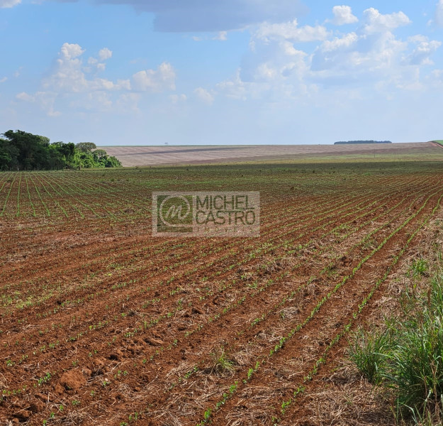 Vende-se, Fazenda no Rural em Uberaba